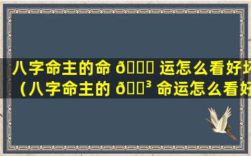 八字命主的命 🐒 运怎么看好坏（八字命主的 🌳 命运怎么看好坏呢）